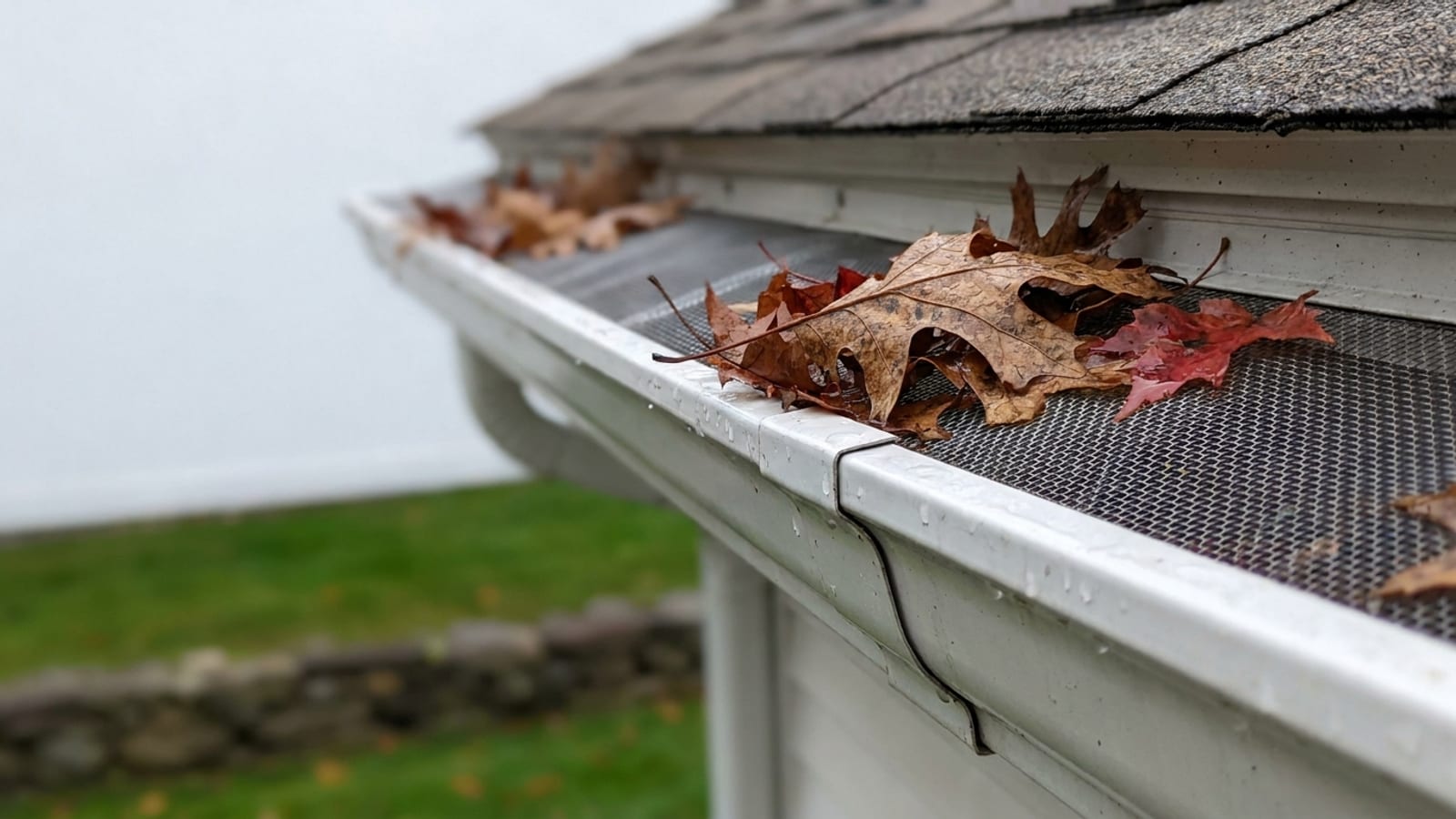 Close-up of a white aluminum K-style gutter with a micro-mesh guard along the top, wet oak and maple leaves resting on the mesh in autumn morning light