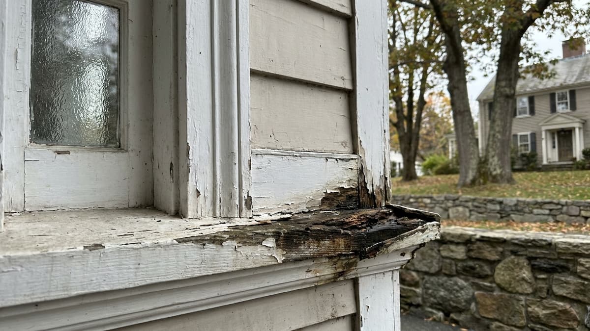 Close-up of a weathered wooden exterior window sill with peeling paint and soft rotted wood at one corner